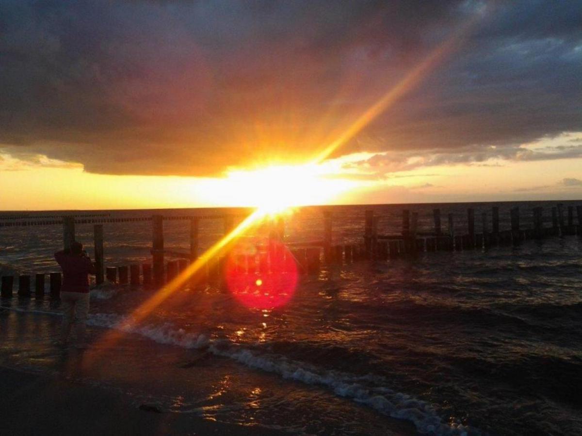 Residenz Am Strand Wohnung 2-43 Zingst Ngoại thất bức ảnh